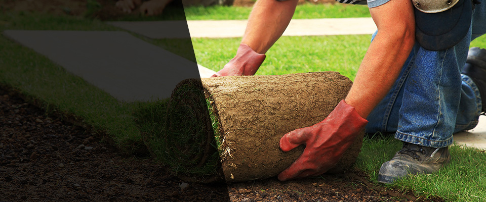 Ragley Landscapers